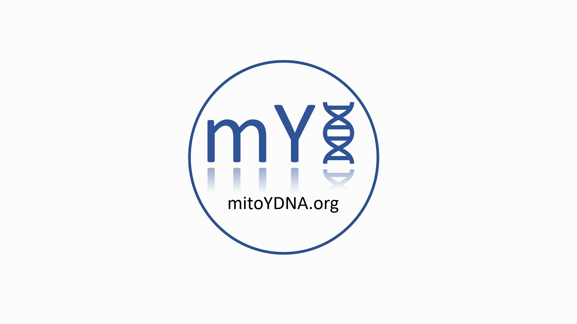 mitoYDNA.org!